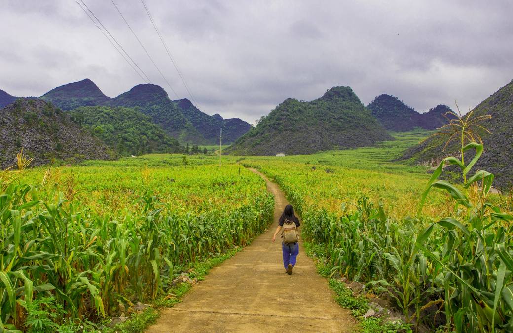 Suggested itinerary to explore Dong Van Karst Plateau